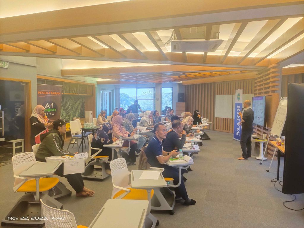 21 | AM AGORA MARDI_144039